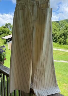 Coastal NWT Joe's Jeans The Mia Wide Leg Ankle Jeans 25 Ivory/Black Pinstripe